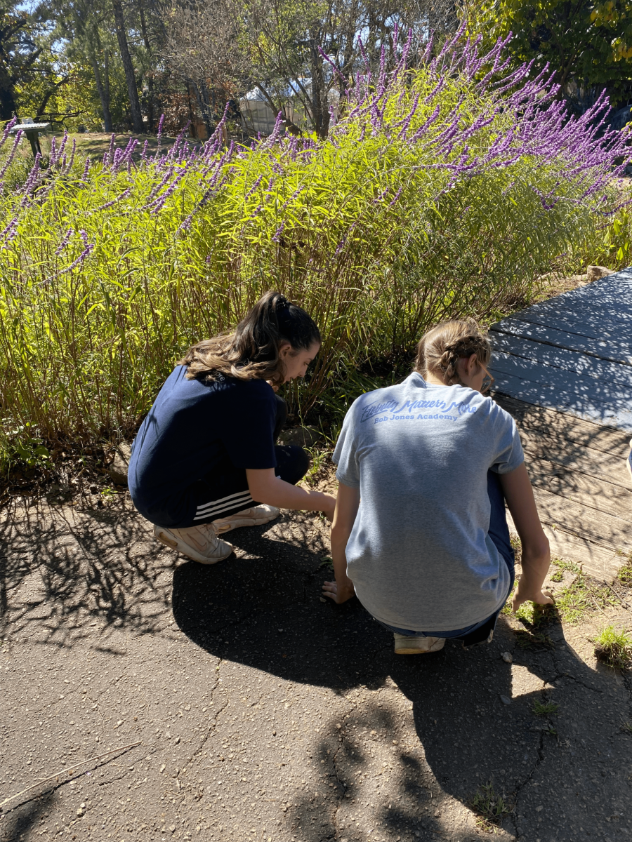 GG Service Day: Roper Mountain