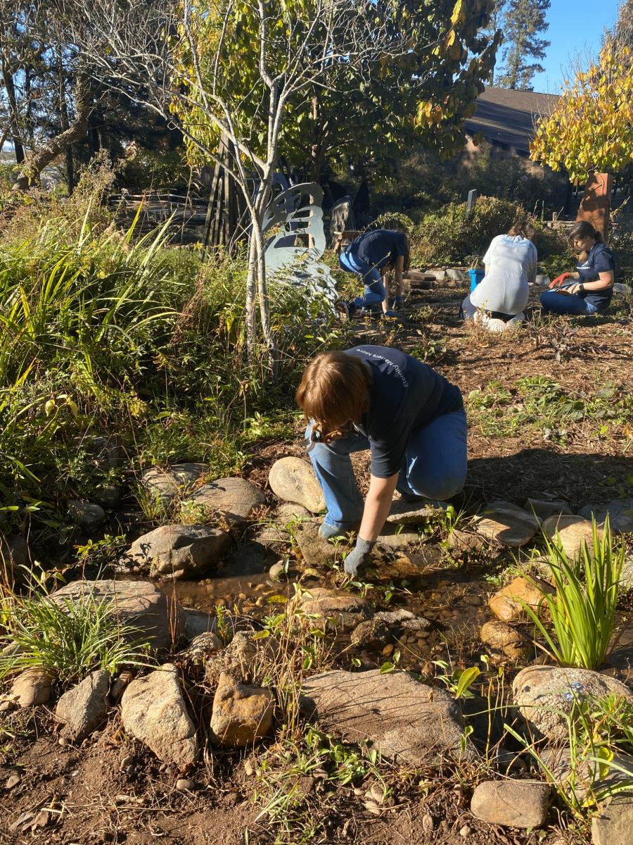 GG Service Day: Roper Mountain