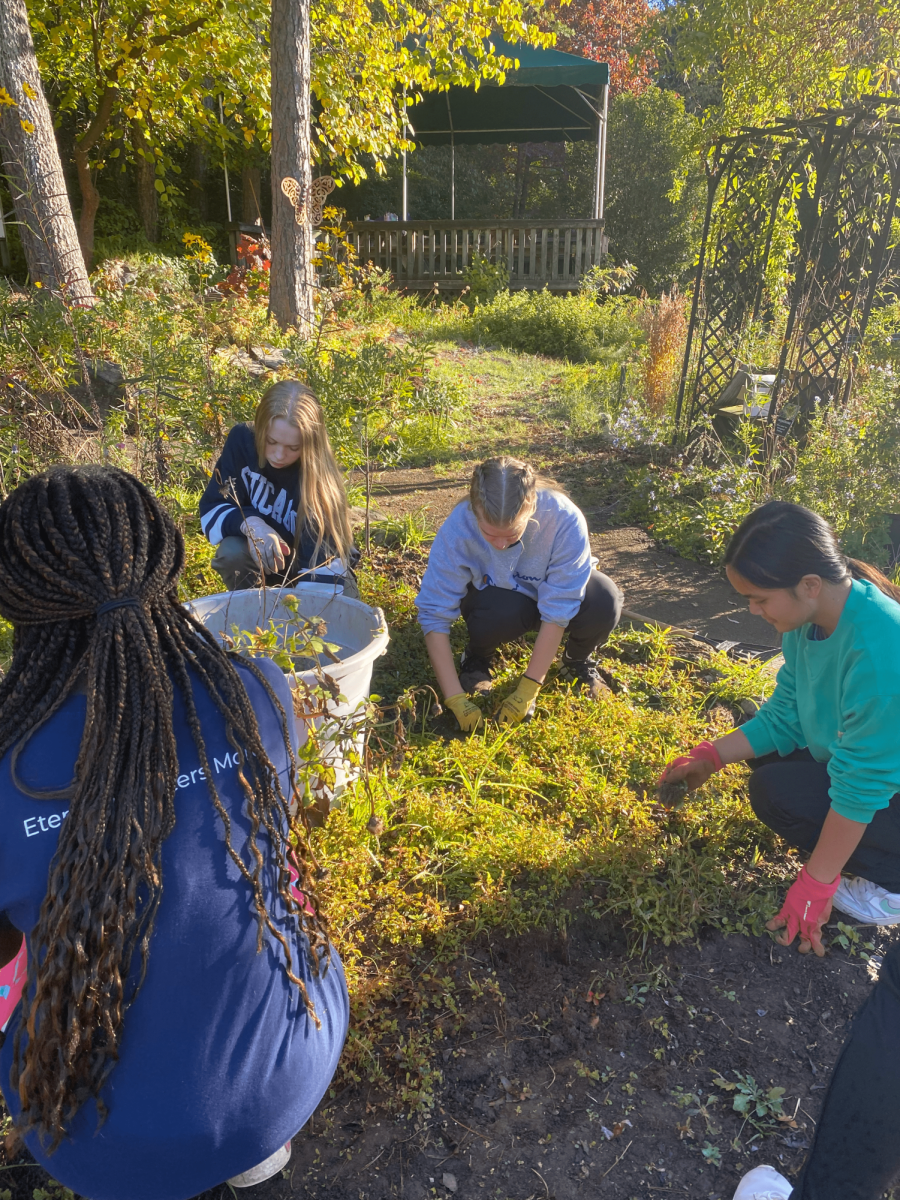 GG Service Day: Roper Mountain