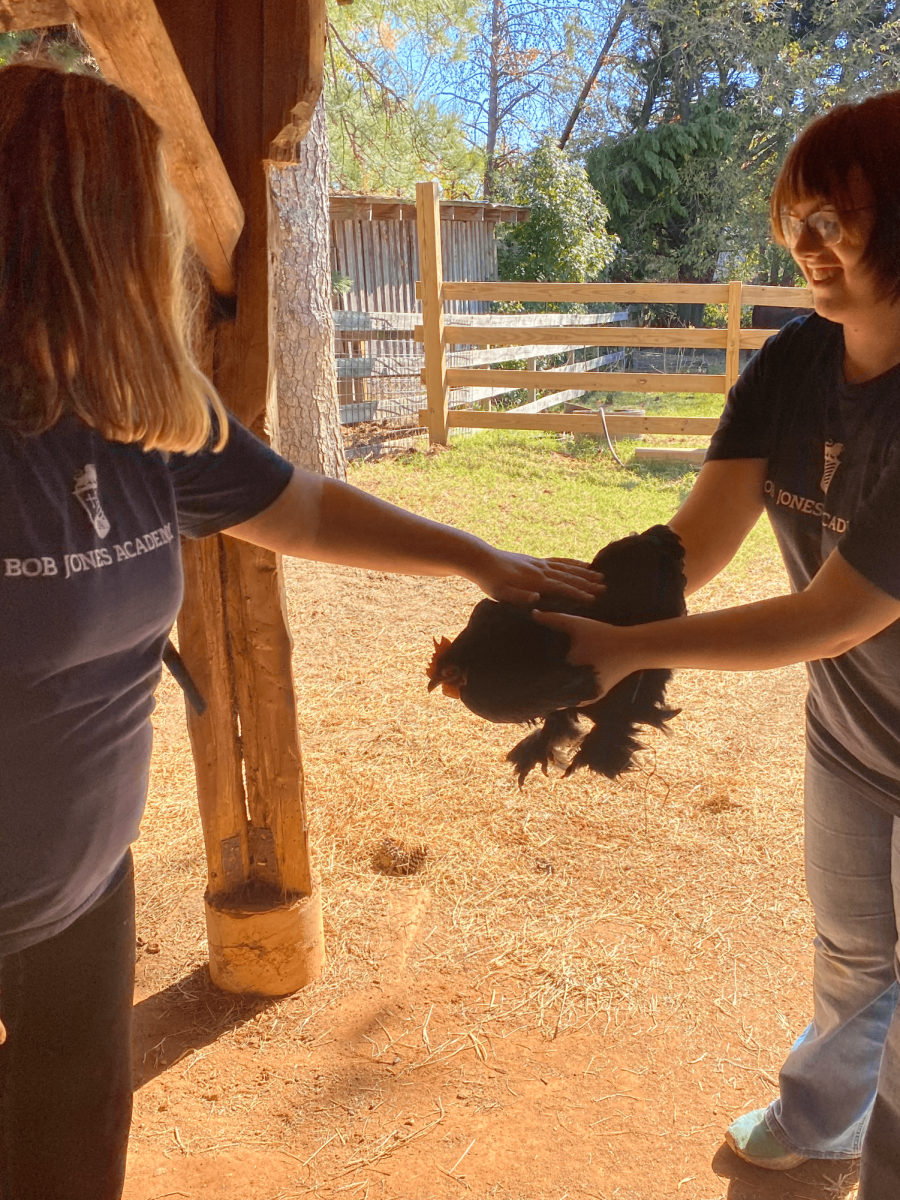 GG Service Day: Roper Mountain