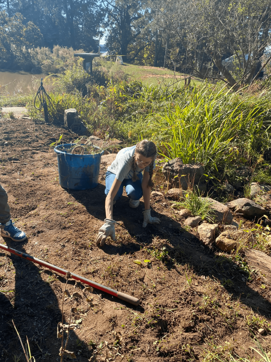 GG Service Day: Roper Mountain