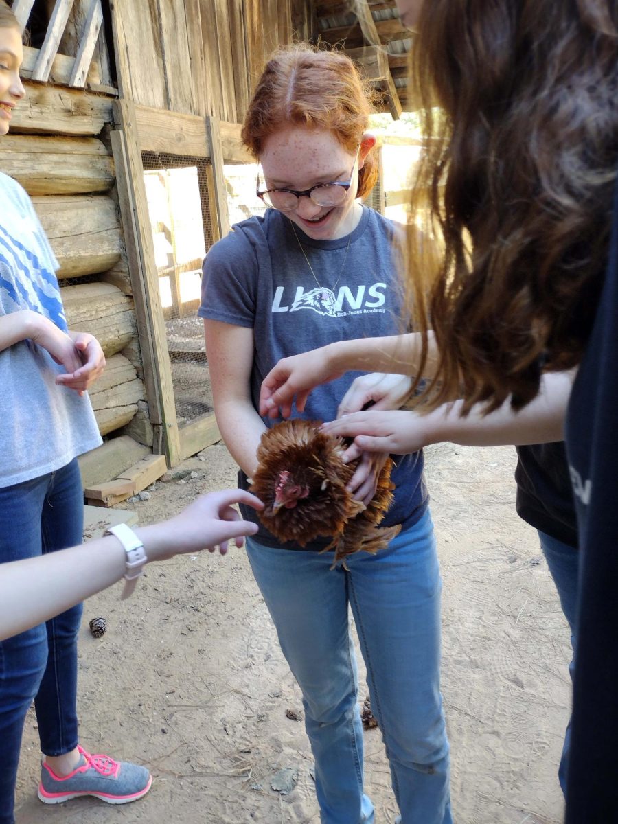 GG Service Day: Roper Mountain