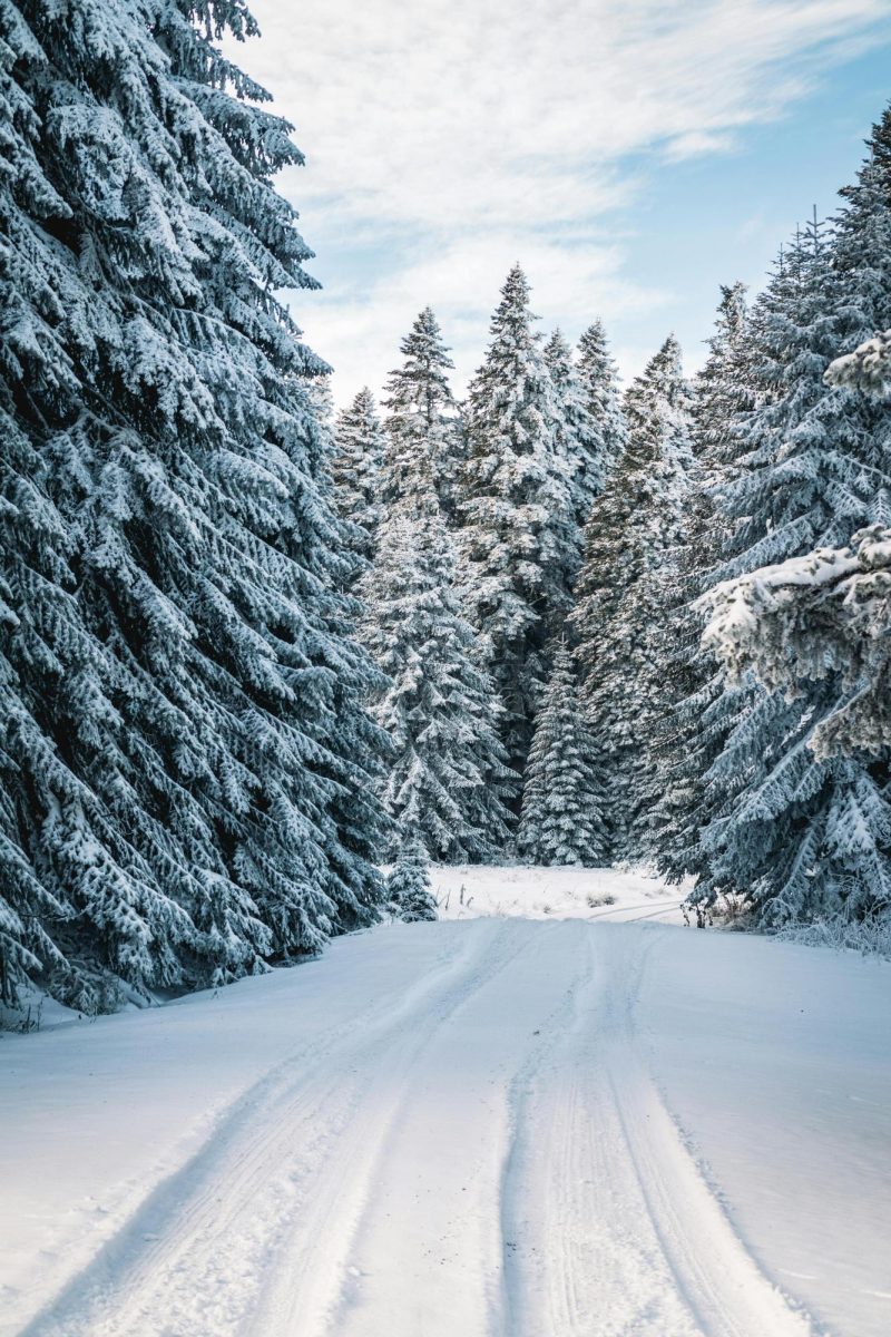 Snow, Ice, and Everything Nice